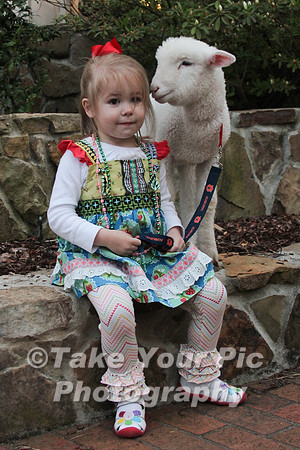 TYP_345307