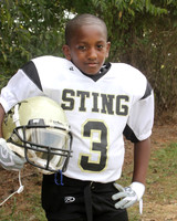 Huntsville Sting