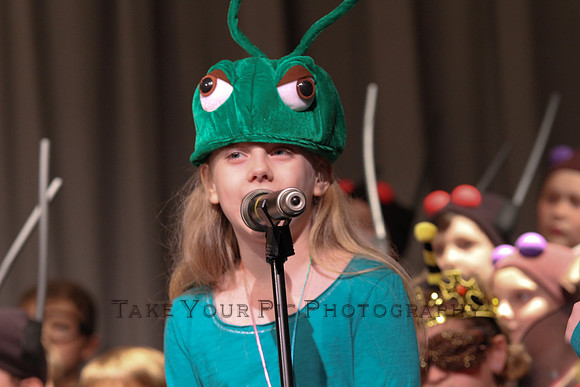 TYP_209761