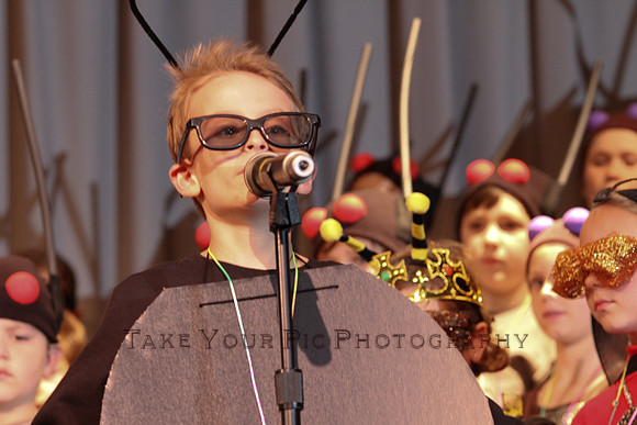 TYP_209772
