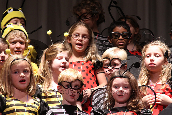 TYP_209946