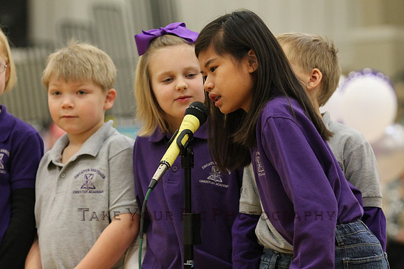 TYP_237017