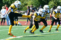 Crusaders vs Knights JPW