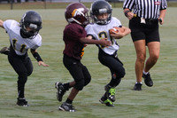 Athens vs Mustangs TM