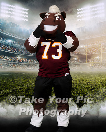 TYP__4369-D