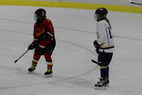 Nashville Jr Predators Duluth Phoenix Minor