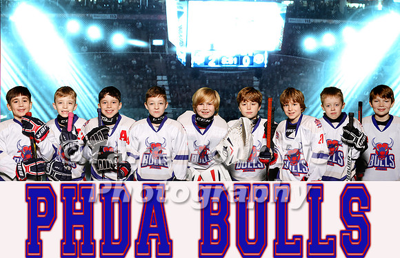 Bulls 1