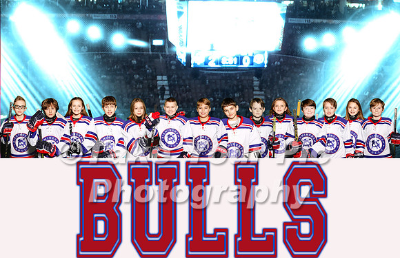 Bulls 2