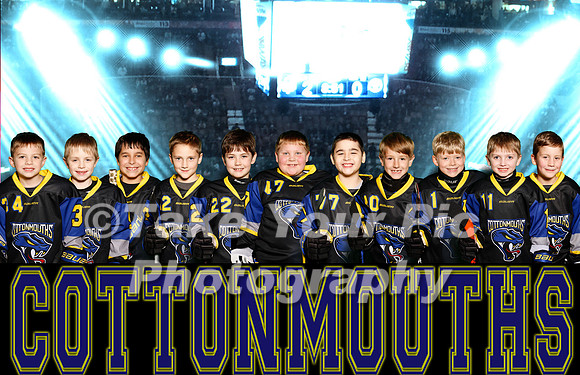 Cottonmouths
