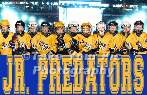 Preds 1
