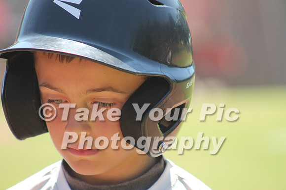 TBX_56356