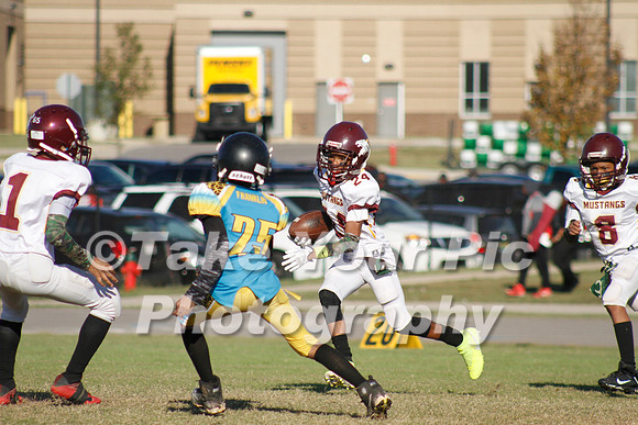 TBX_17897