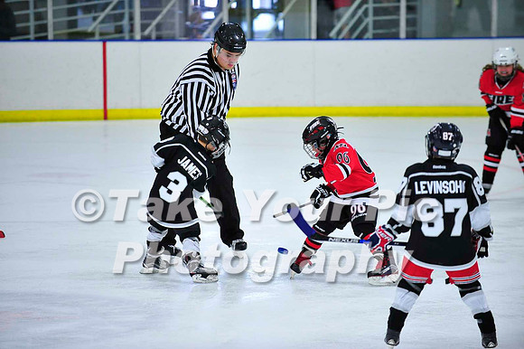 TYPH_08748