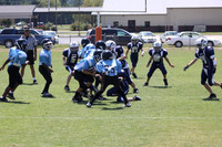 PW Jamboree Tiny Mite - Mitey Mite