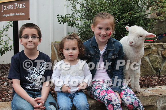TYP_345291