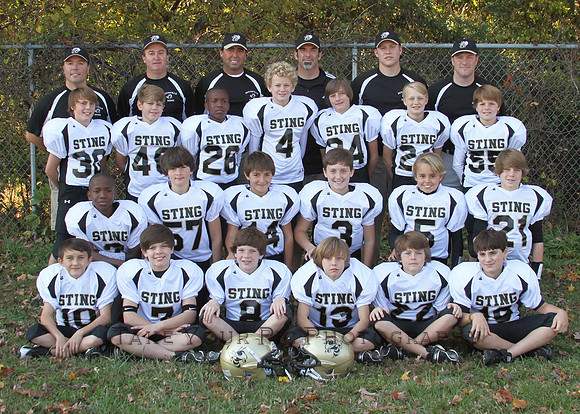 Huntsville Sting JPW Gold